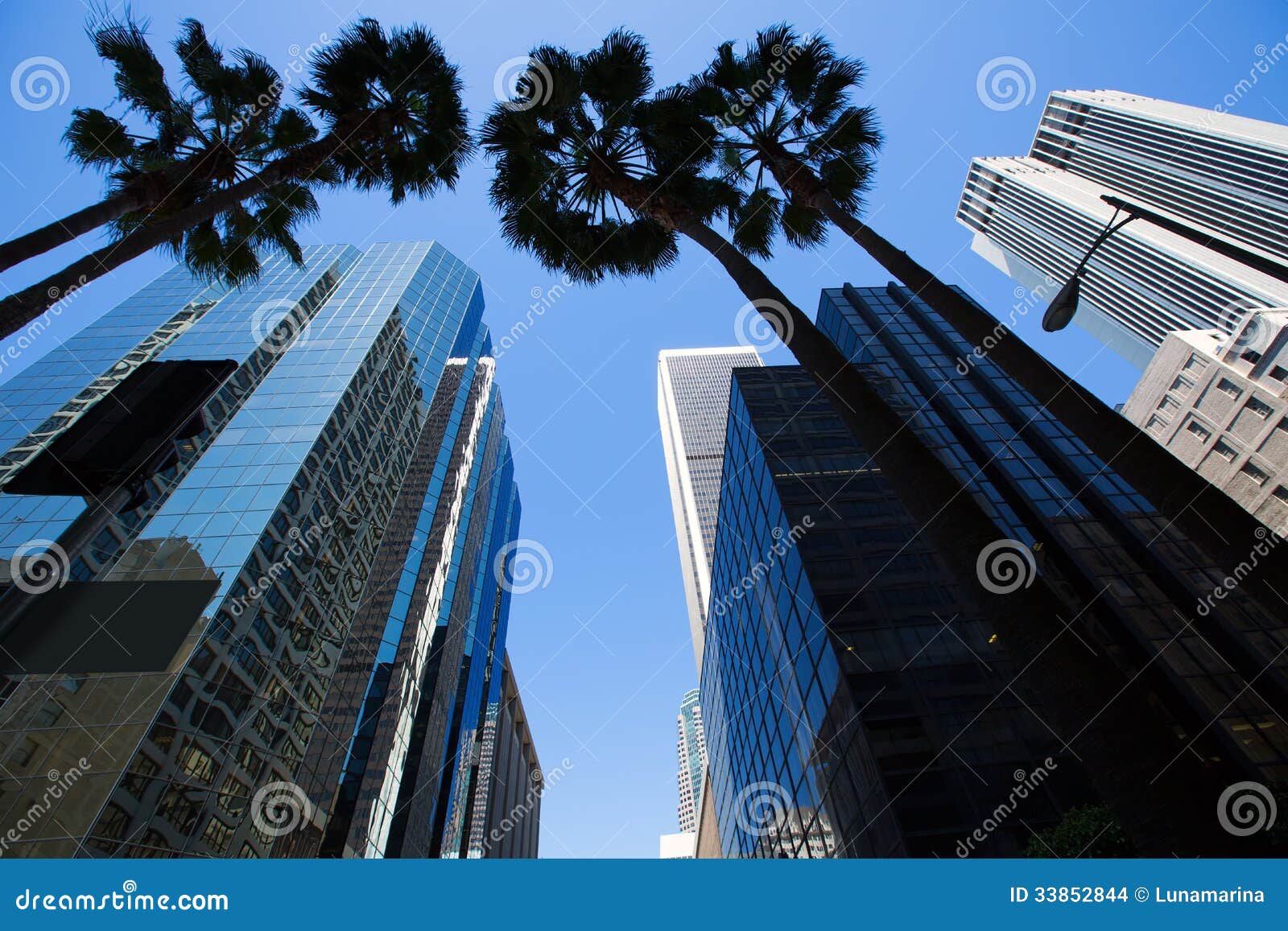 LA Los Angeles som är i stadens centrum med palmträddetaljer på cityscape