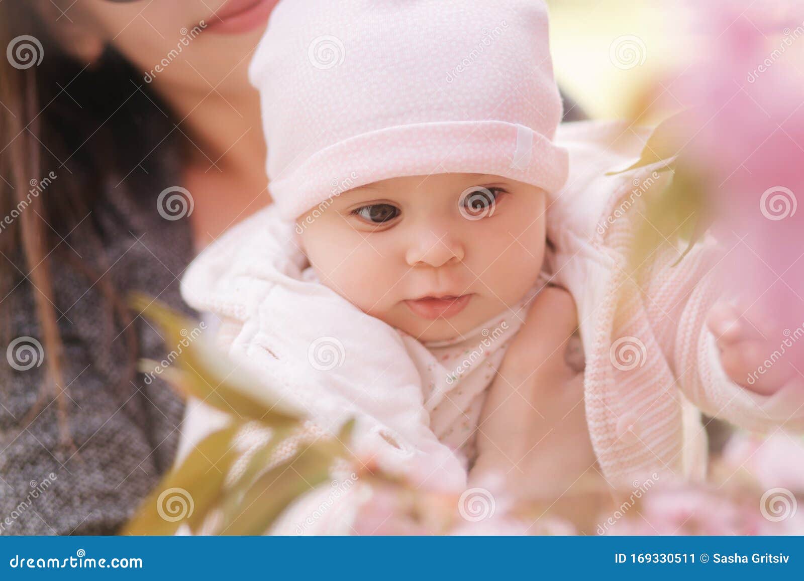 La Madre Le Muestra A Su Hija Un Arbol Rosado Feliz Bebe Rama De Sakura Imagen De Archivo Imagen De Infante Familia