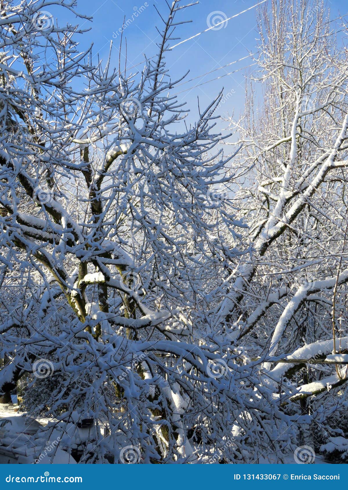 La Magie De L'hiver Et Le Soleil Après La Neige Image stock