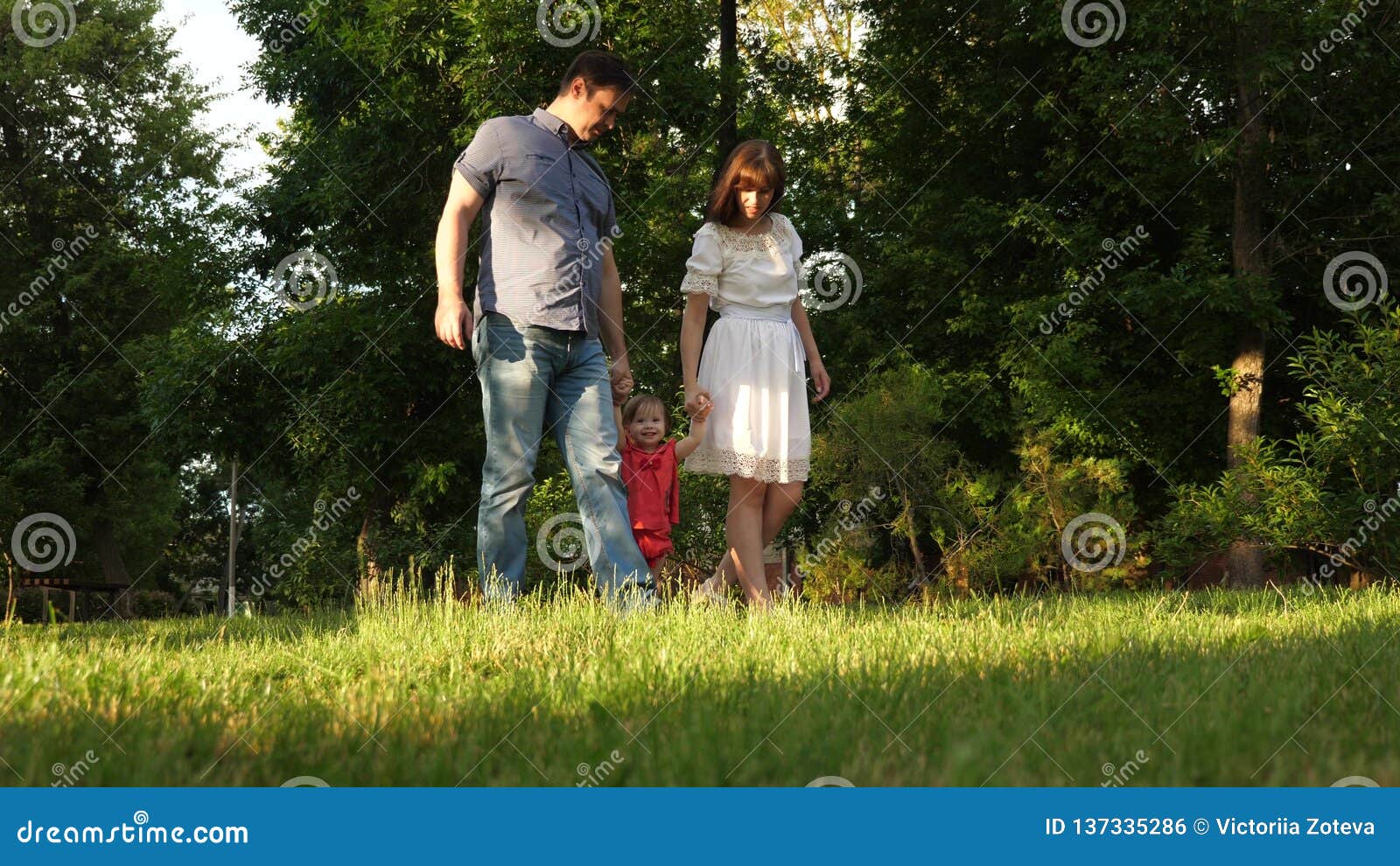 La Mama Y El Papa Del Bebe Estan Caminando Alrededor De Llevar A Cabo Las Manos Y De Jugar En Parque De La Ciudad En Hierba Del C Foto De Archivo La Mama Y El Papa Del Bebe Estan Caminando Alrededor De Llevar A Cabo Las Manos Y De Jugar En Parque De La Ciudad En Hierba Del C Foto De Archivo