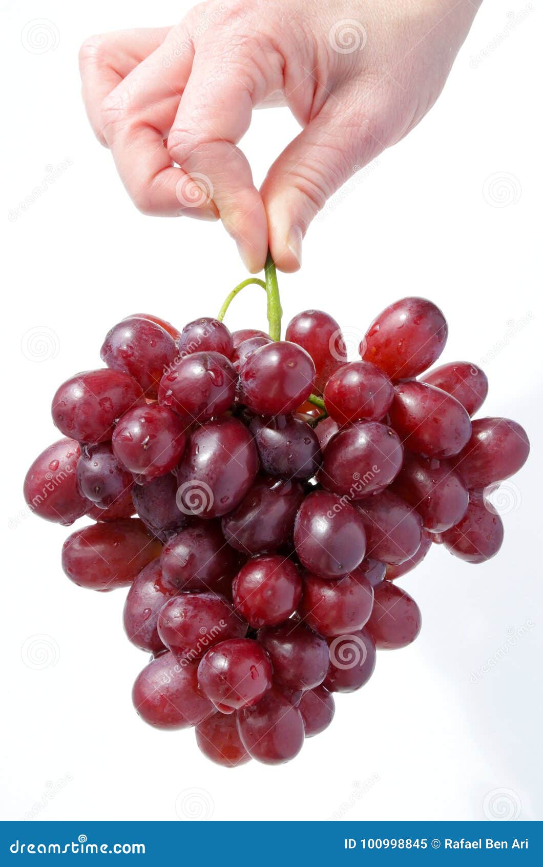 La mano de la mujer sostiene un racimo de uvas rojas en el fondo blanco Concepto sano del alimento Cubierta vertical