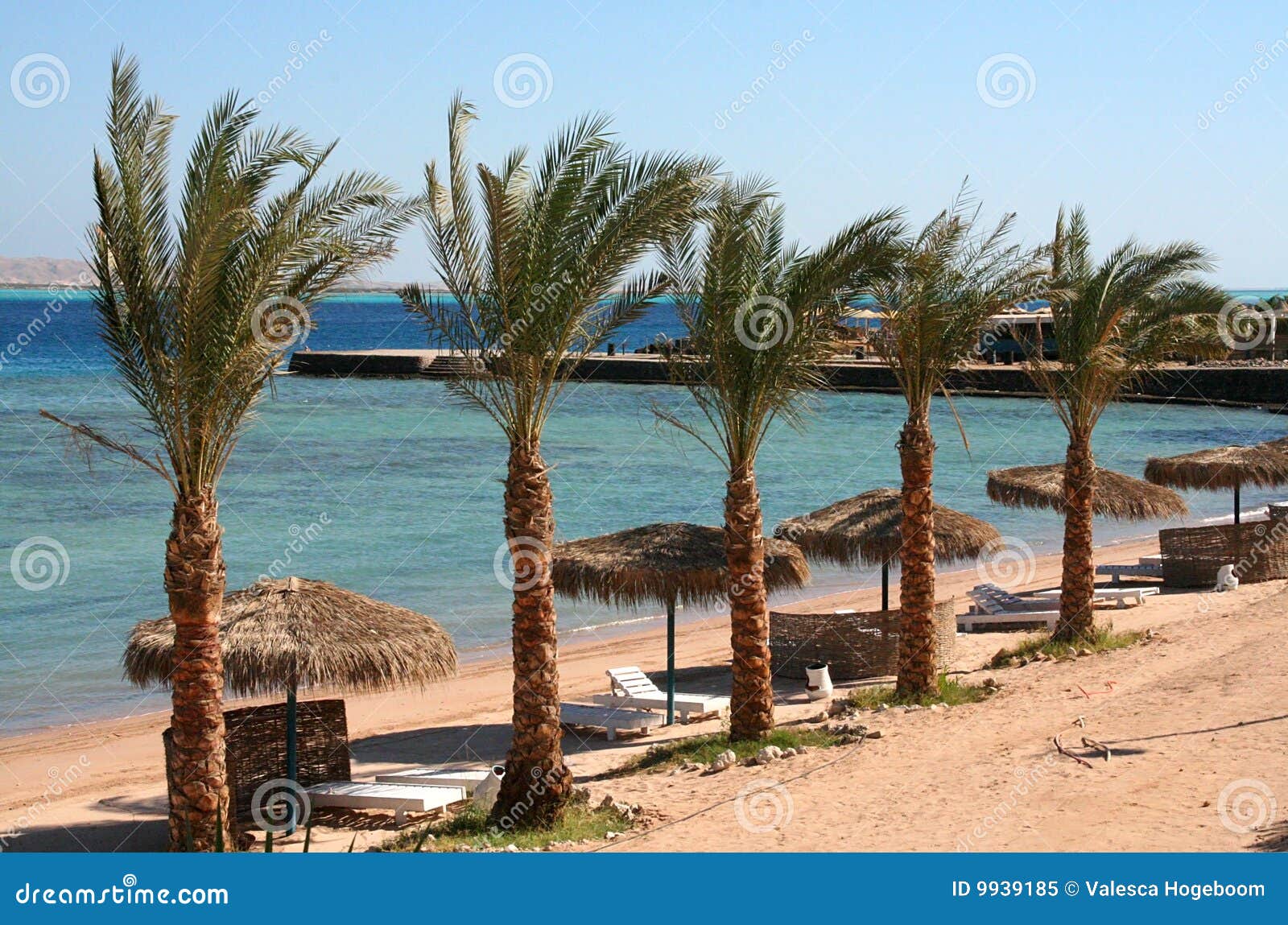 La Mer Rouge De Hurghada De Plage Image stock Image du paume, sable