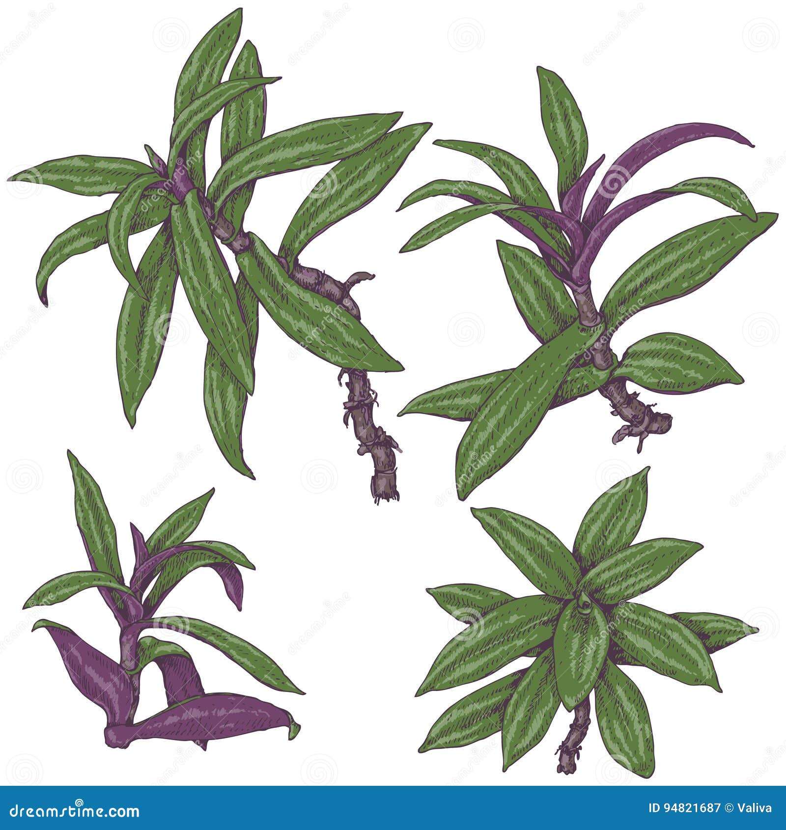 La Miseria Si Ramifica Schizzo Illustrazione Vettoriale Illustrazione