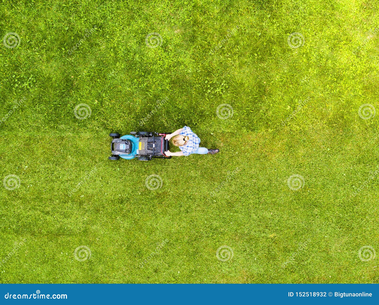 La Muchacha Hermosa Corta El C?sped C?spedes De Siega Cortacésped Hermoso De La Mujer De La Visión Aérea En Hierba Verde Equipo D Fotografía editorial foto