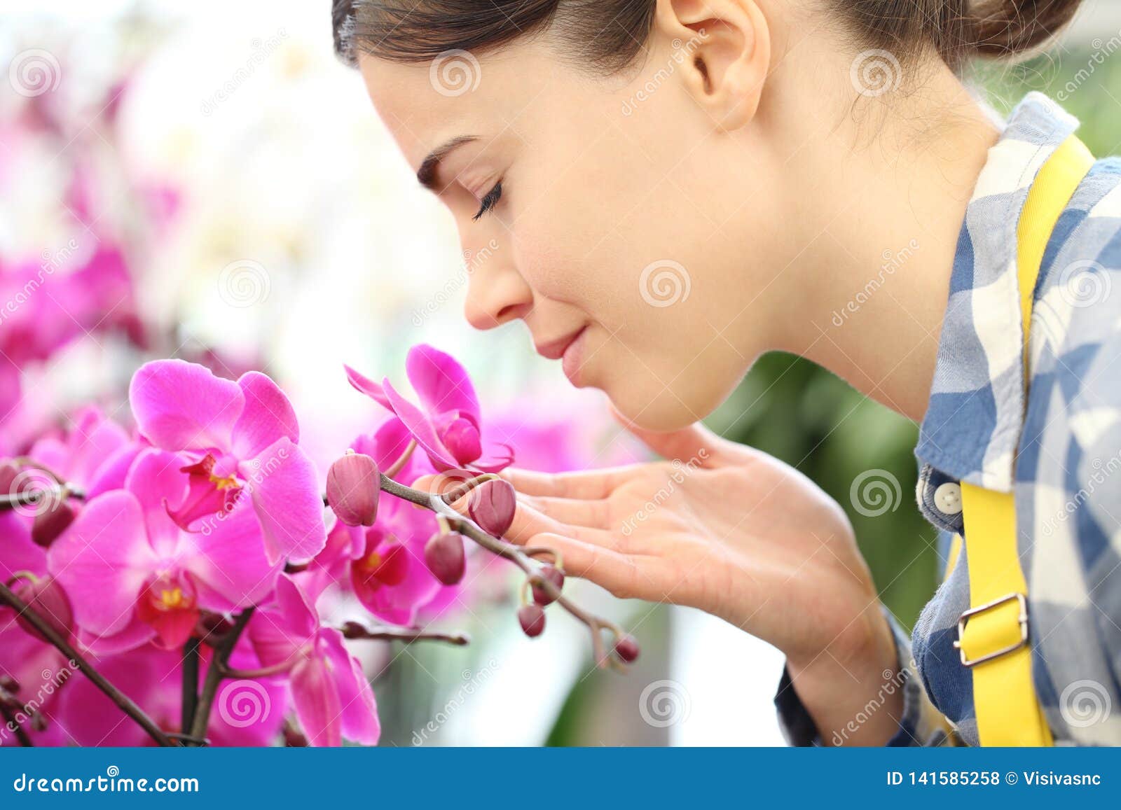 La Mujer Huele Las Flores En El Jardín, Fragancia De Orquídeas Foto de archivo - Imagen de plantas, olor: 141585258 La Mujer Huele Las Flores En El Jardín, Fragancia De Orquídeas Foto de archivo - Imagen de plantas, olor: 141585258