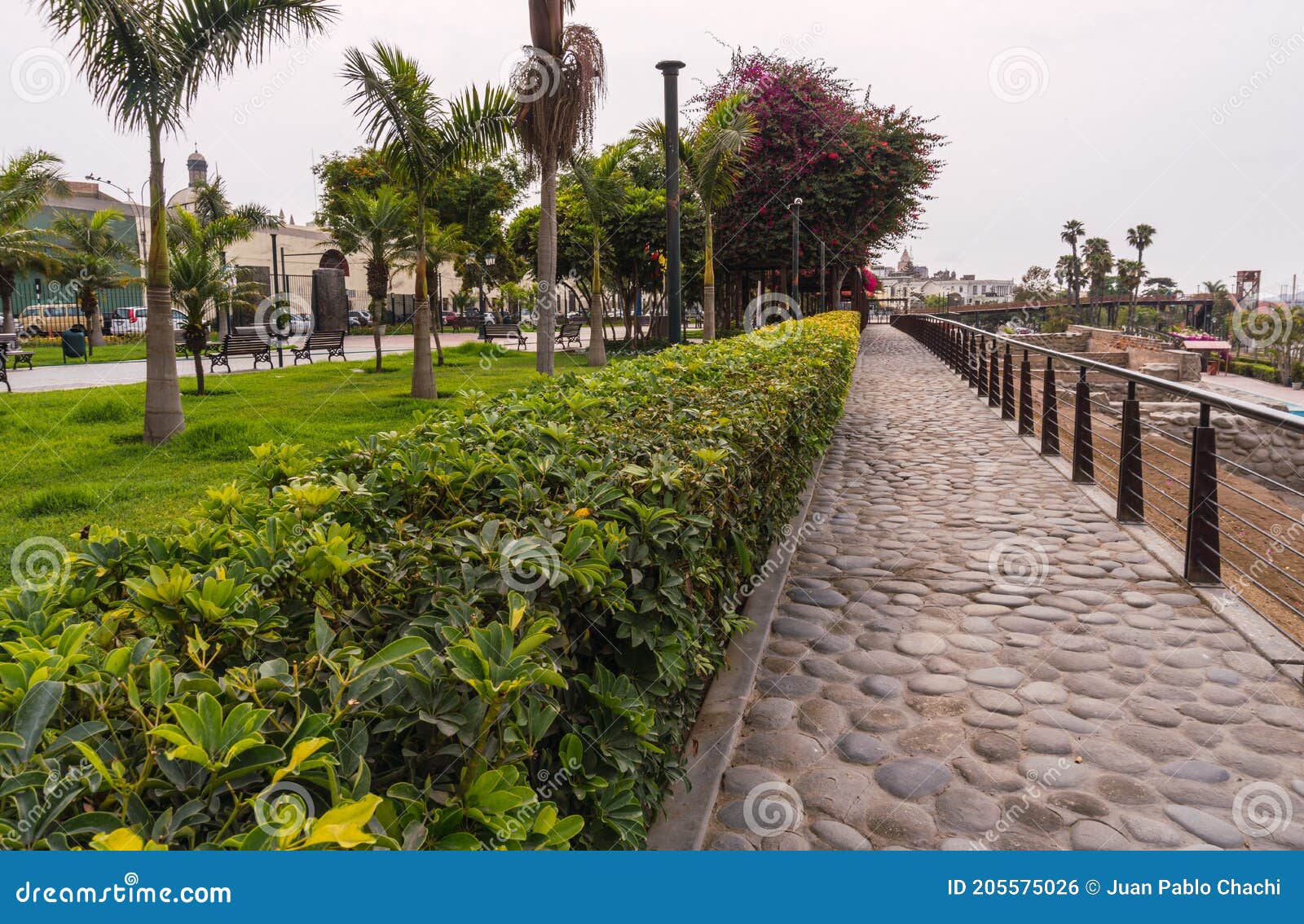 la muralla park flowers