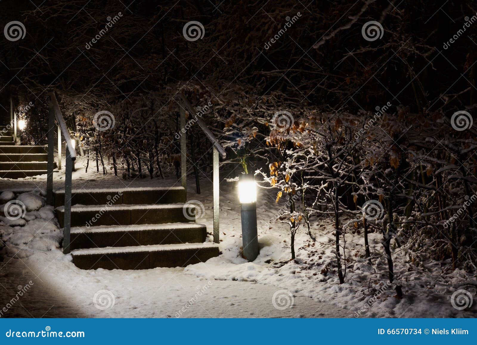 escalier exterieur neige