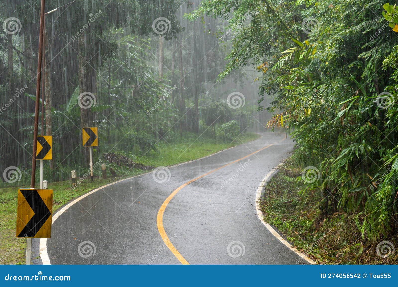 la nina cause a heavy rain in tropical forest