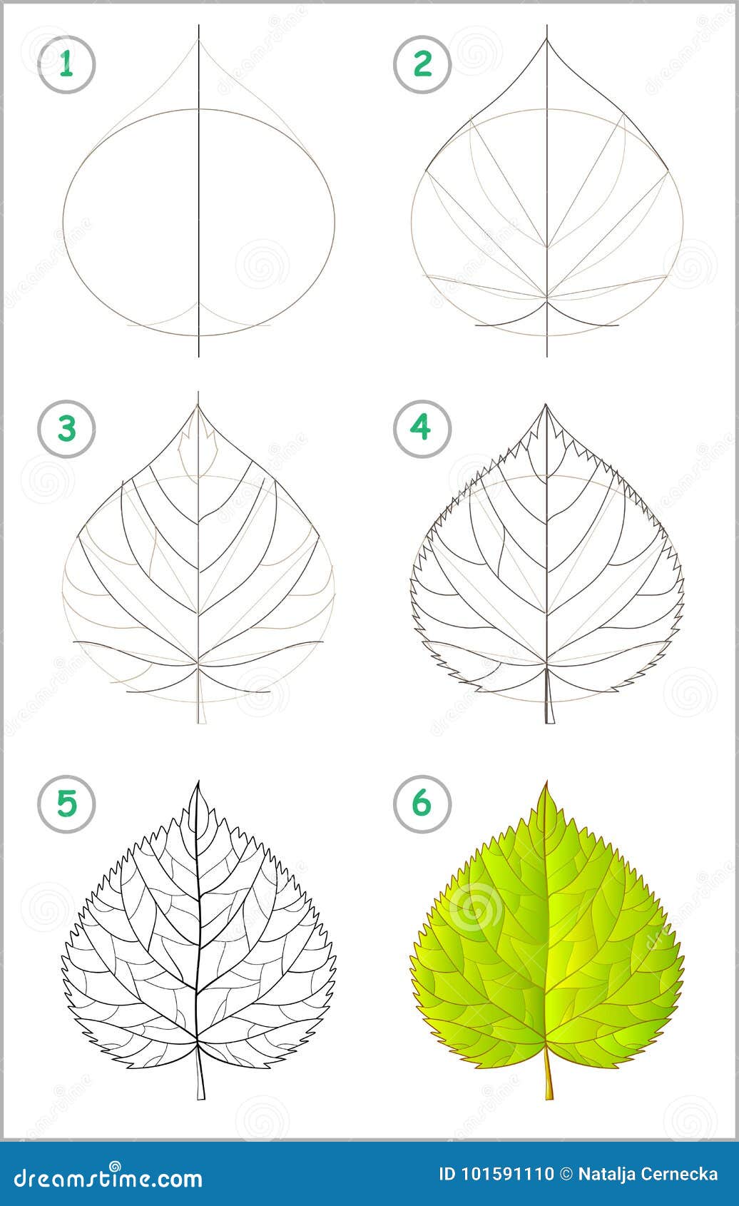 Descubrir 139+ imagen dibujos de tila - Thptletrongtan.edu.vn