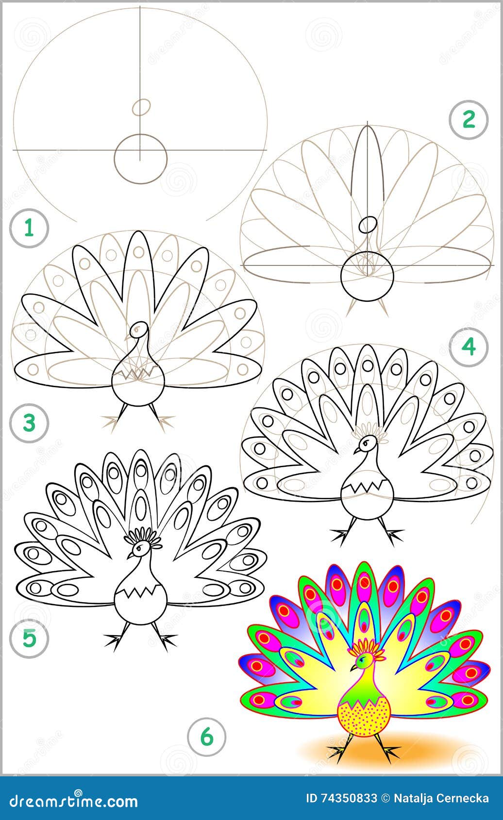 La Página Muestra Cómo Aprender Paso a Paso Dibujar Un Pavo Real  Ilustración del Vector - Ilustración de animal, peacock: 74350833