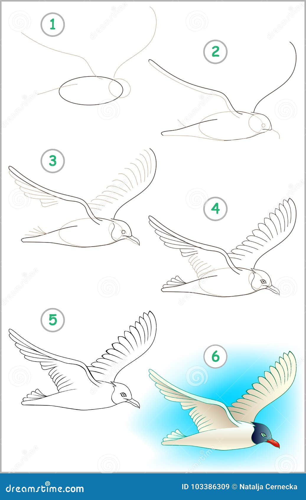 Comment Dessiner Un Oiseau Qui Vole La Page Montre Comment Apprendre Point Par Point à Dessiner Une Mouette De Vol Illustration de Vecteur - Illustration du forme, exercice: 103386309
