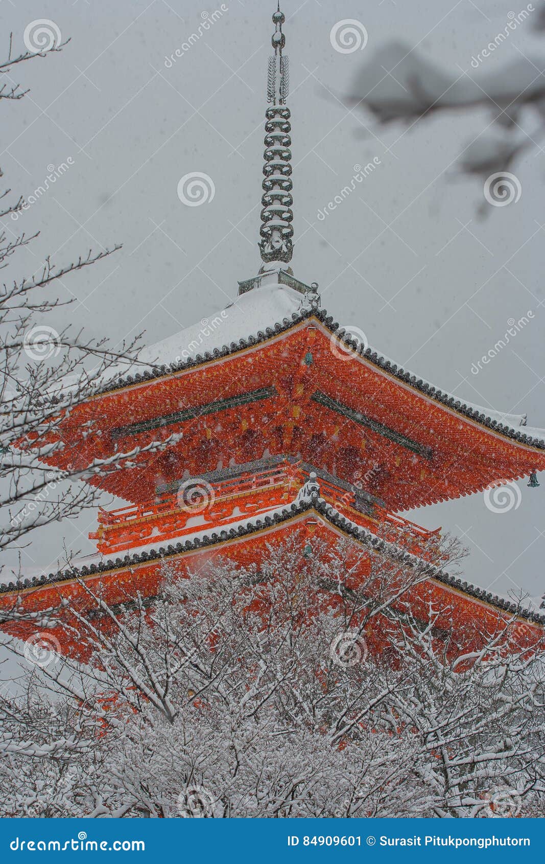 La pagoda rossa al tempio di Kiyomizu-dera con l'albero ha riguardato il fondo bianco della neve a Kyoto, Giappone