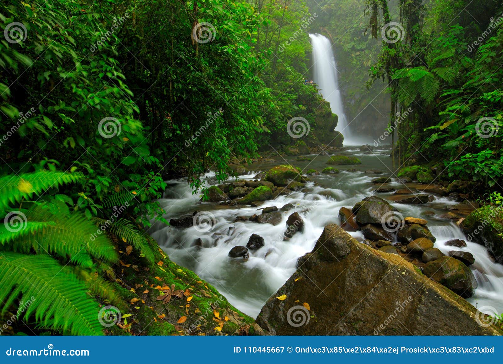 La Paz Waterfall Gardens With Green Tropical Forest Central