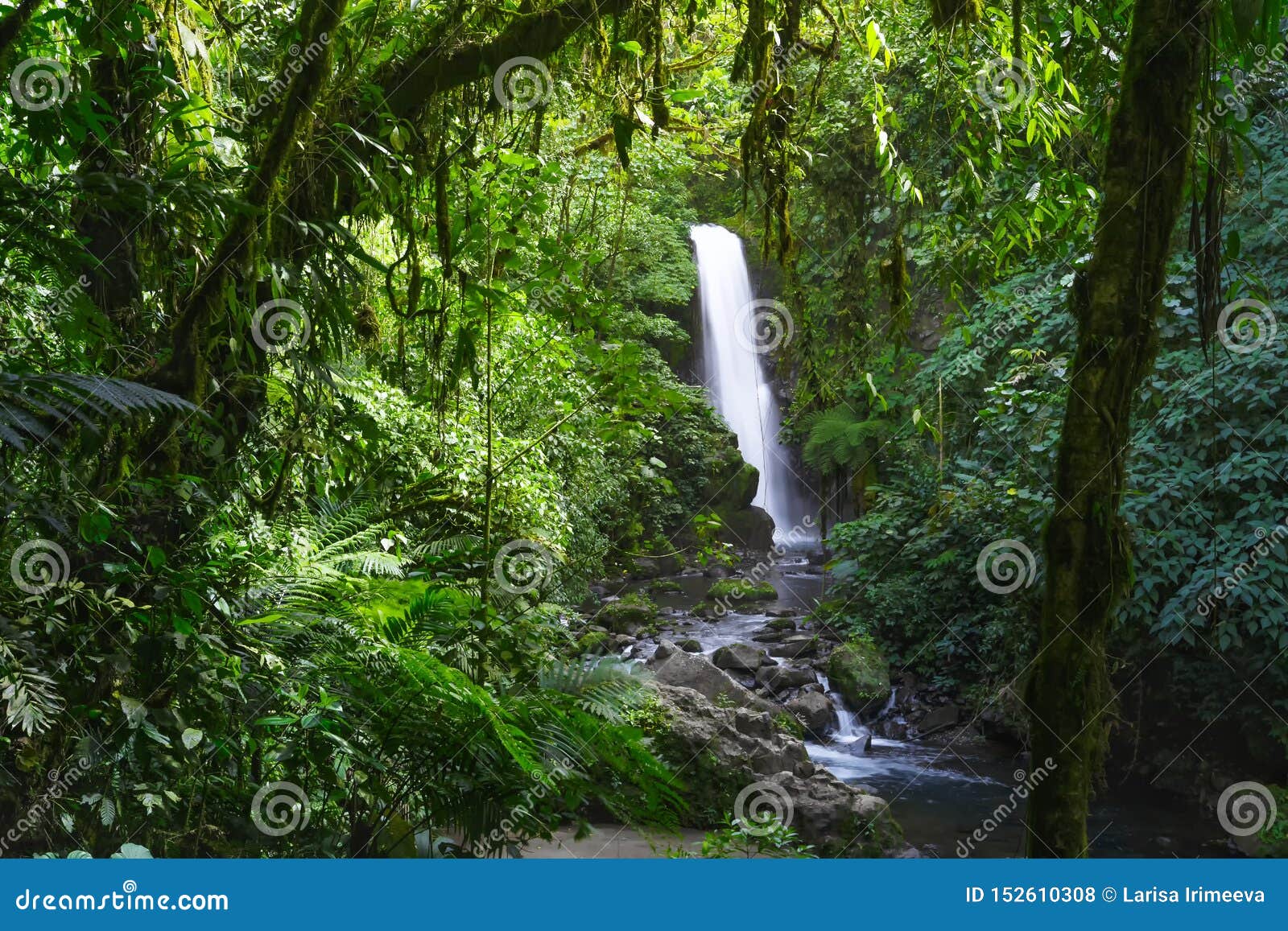 La Paz Waterfall Gardens Nature Park Costa Rica Stock Photo