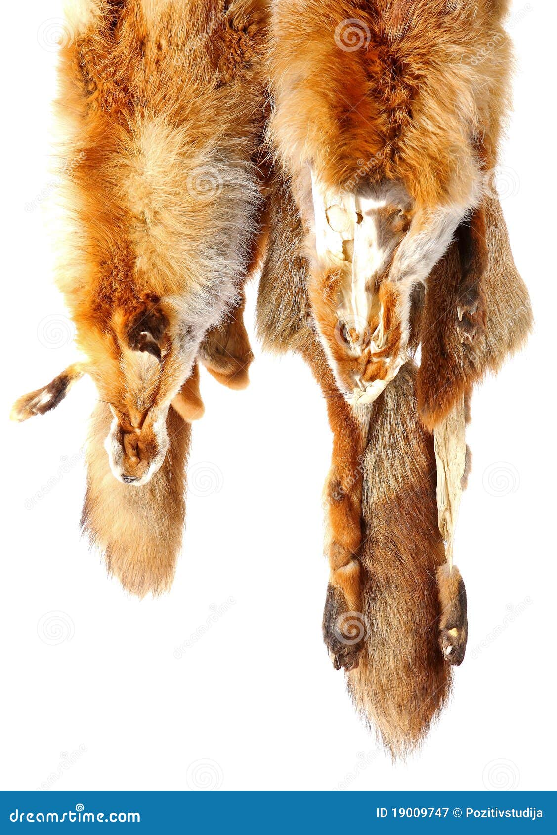 Coprispalle Da Sposa Maniche Lunghe Rosse Colletto Rovesciato Pelliccia Sintetica Pom Poms