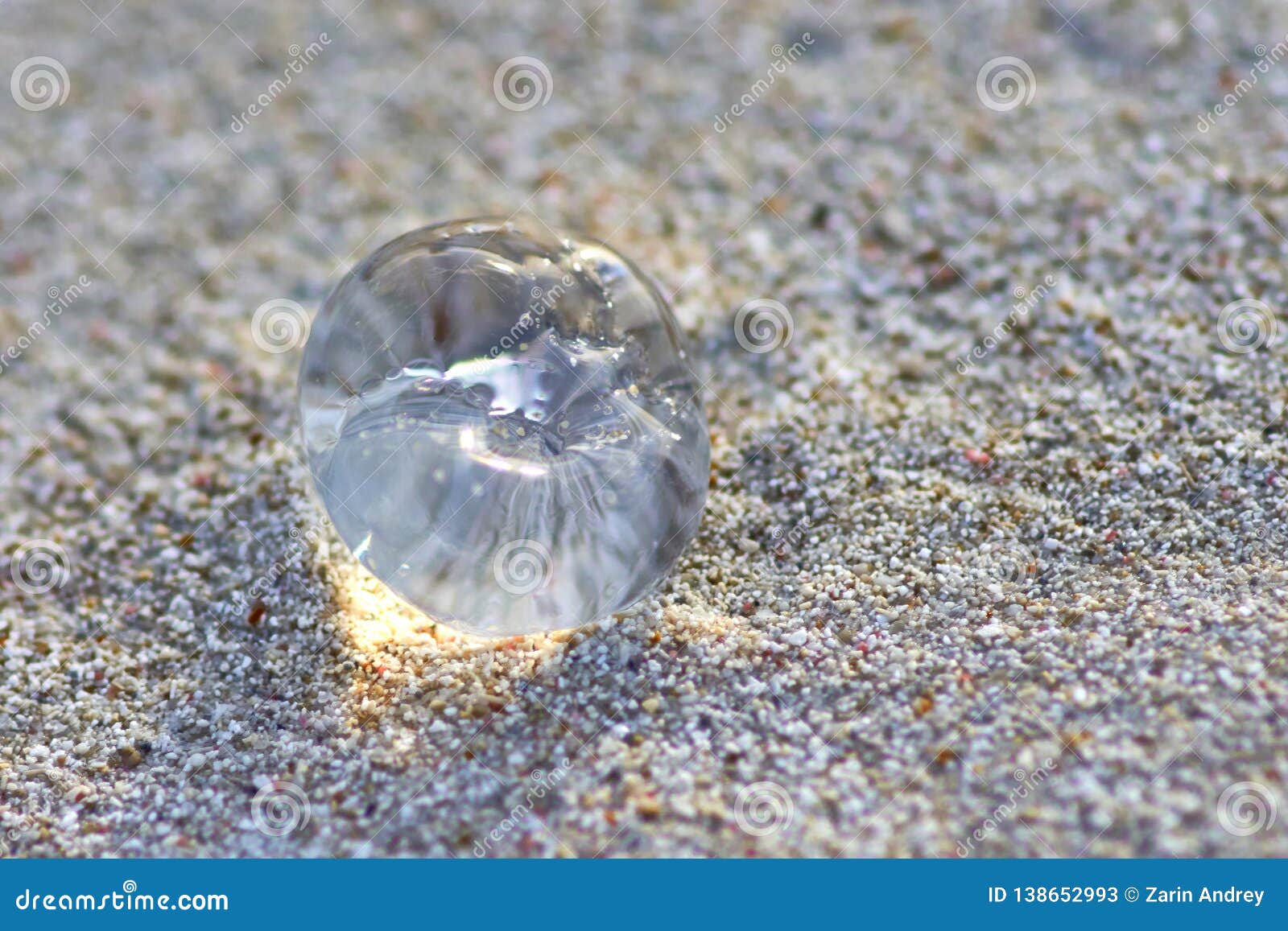 La Petite Meduse Transparente Sur Le Sable Est Illuminee Par Le Soleil Image Stock Image Du Nature Profondement La Petite Meduse Transparente Sur Le Sable Est Illuminee Par Le Soleil Image Stock Image Du Nature Profondement
