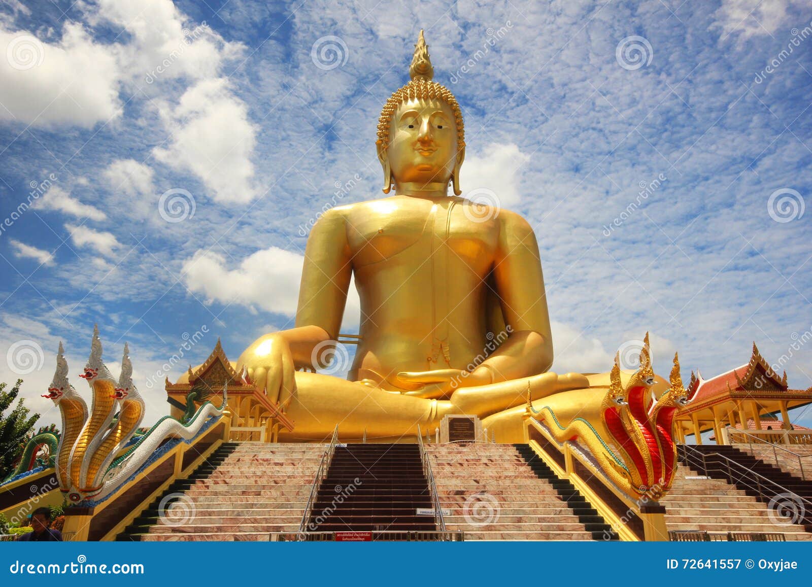 La Più Grande Statua Di Buddha in Tailandia è Situata a Wat Muang in  Angtong Immagine Stock - Immagine di asiatico, buddismo: 72641557