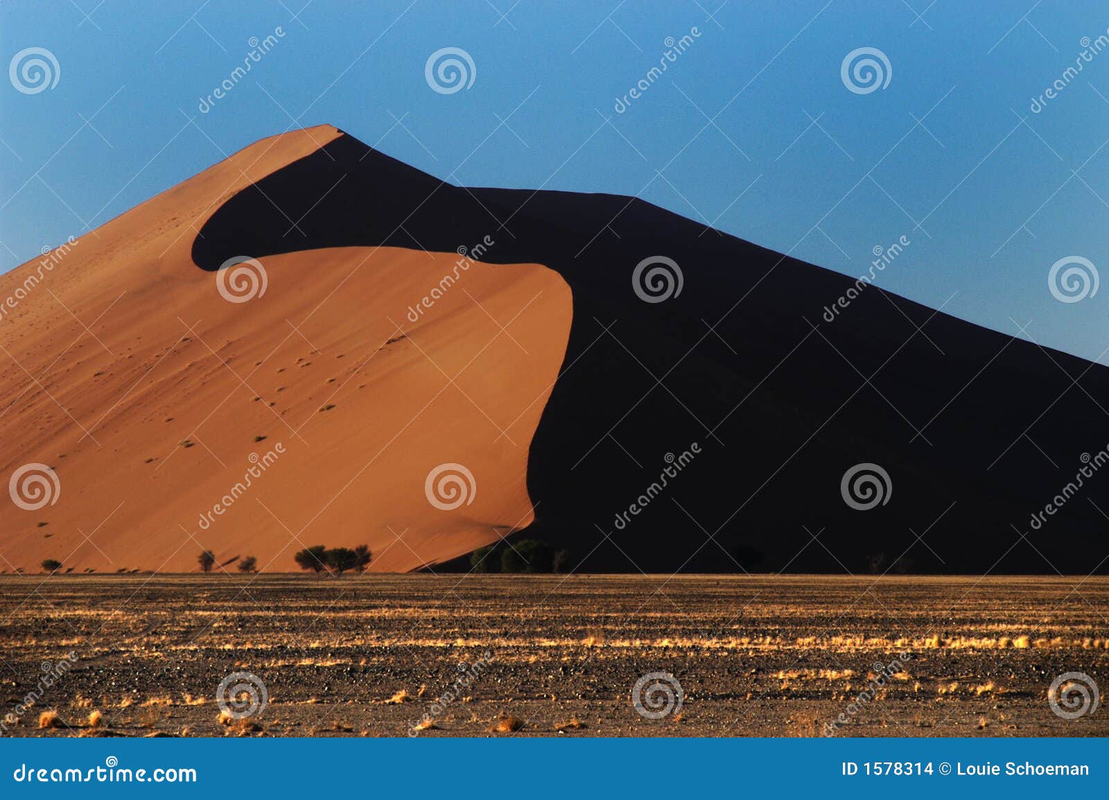 La Plus Haute Dune Au Monde, Namibie Photo stock Image du safari