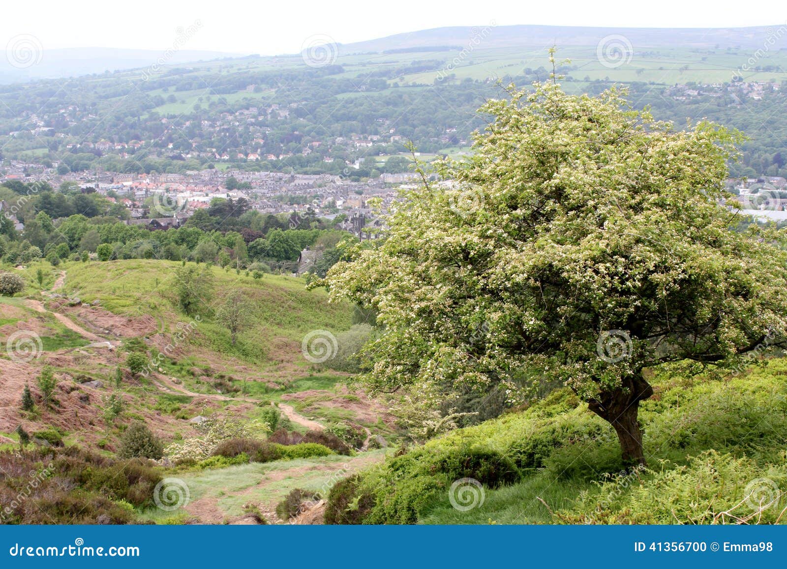 La primavera di Ilkley attracca. Una vista sopra il Ilkley famoso attracca, il Yorkshire, Inghilterra, mostrando Rolling Hills e la città nella distanza, un albero del cratego nelle manifestazioni che del fiore è tempo di molla