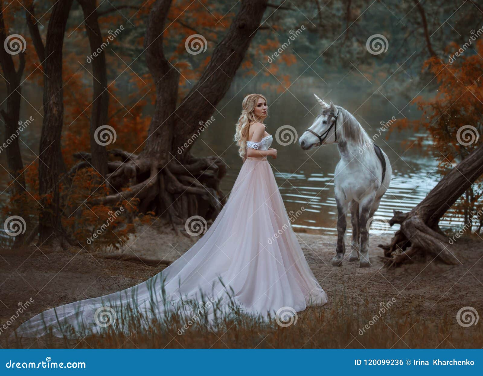 La Princesse a Rencontré Une Licorne Dans La Forêt La Fille Blonde Avec Un  Maquillage Doux, Est Habillée Dans Une Longue Robe De Photo stock - Image  du automne, beauté: 120099236