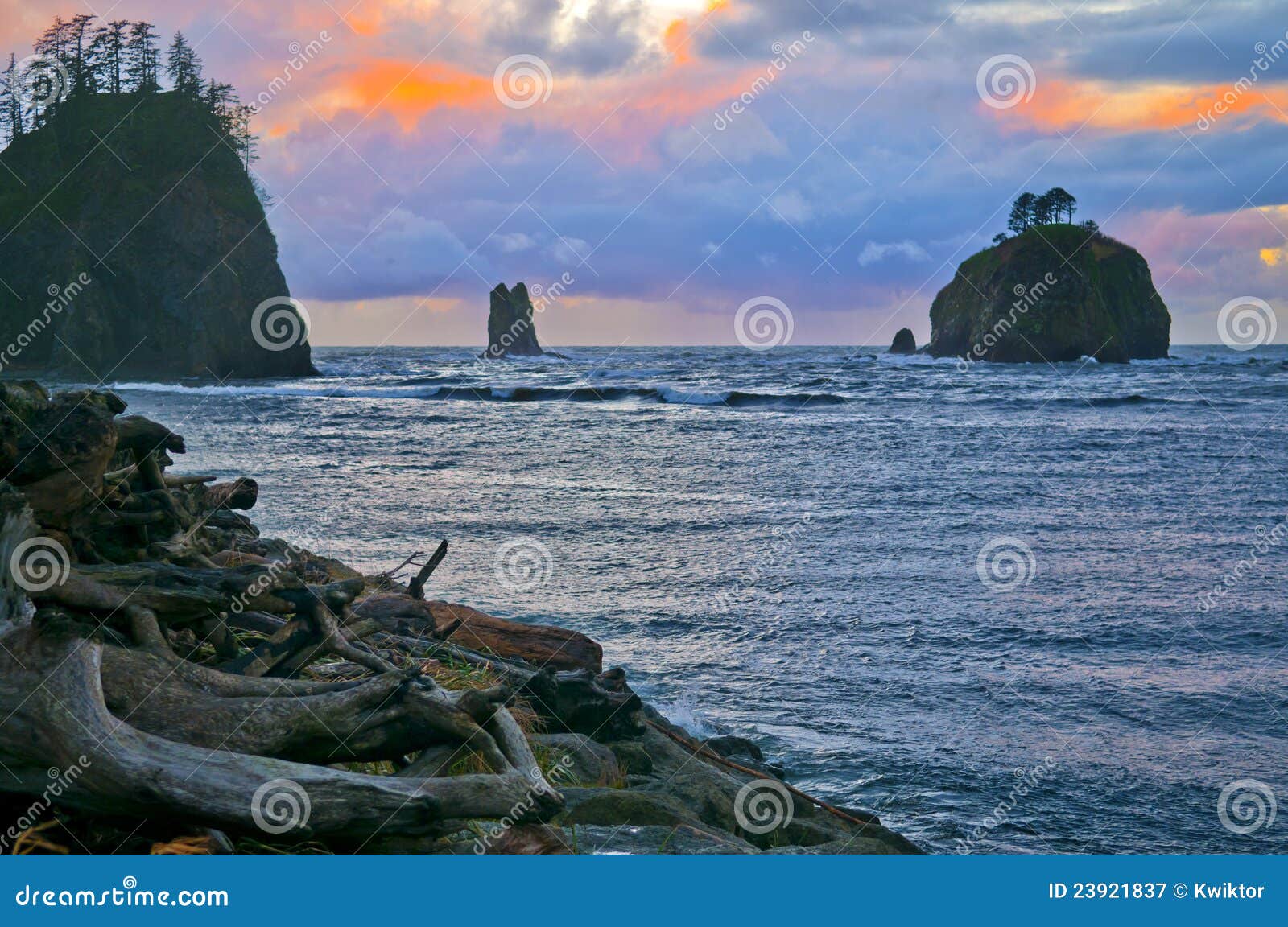 La Push Beach Forks Washington Stock Image Image of yellow, beach