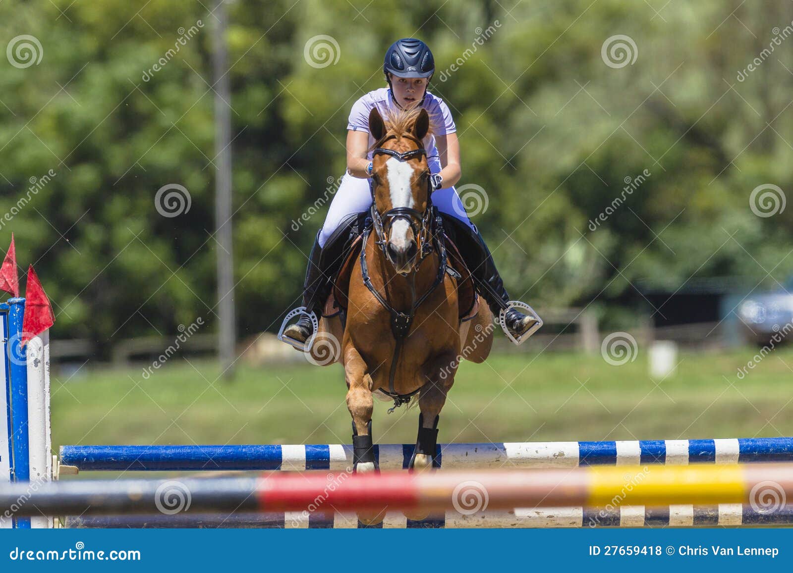 La ragazza del cavallo salta il volo. Cavaliere della giovane donna ed il suo cavallo nel metà di volo sopra un salto su un cancello di corso durante l'evento equestre regionale della concorrenza ai motivi di Shongweni