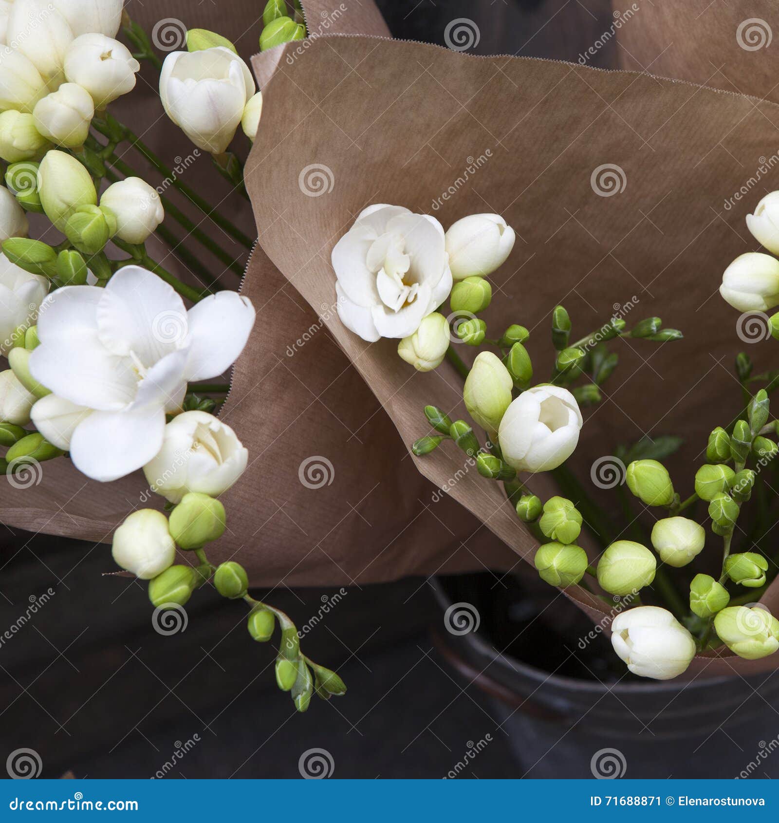 La Rama De La Fresia Blanca Con Las Flores Imagen de archivo - Imagen de  macro, elegante: 71688871