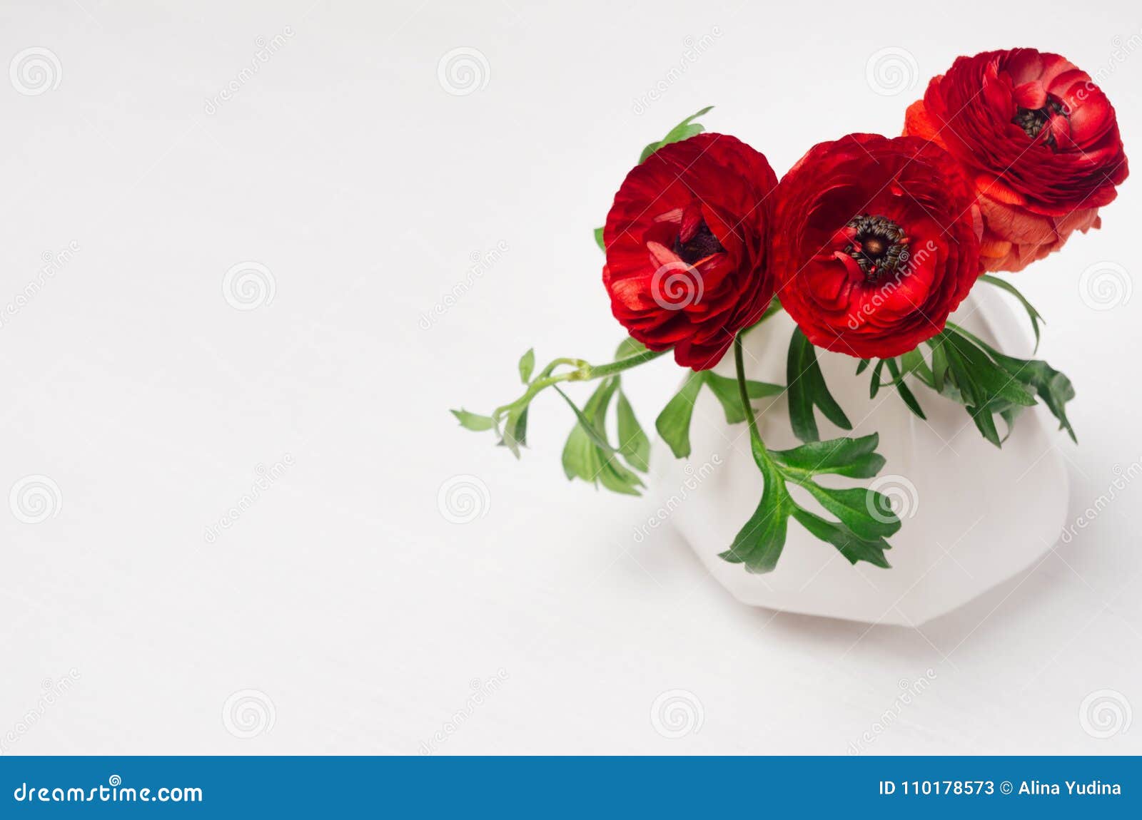 La Renoncule Rouge Fleurit Dans Le Vase à élégance Sur La Table En Bois  Blanche Molle Décor élégant Pour L'intérieur Moderne Image stock - Image du  fleur, doux: 110178573