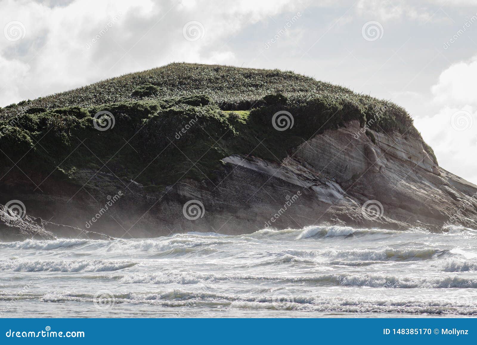 La scogliera costiera fronteggia dove la terra incontra il mare Spiaggia di Wharariki. La scogliera costiera fronteggia dove la terra incontra il mare La spiaggia di Wharariki ? una spiaggia ad ovest dell'addio del capo, il punto pi? northernmost dell'isola del sud della Nuova Zelanda