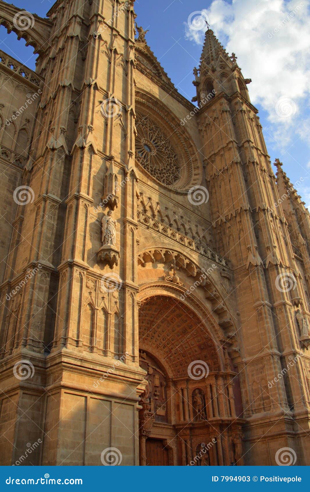 la seu cathedral