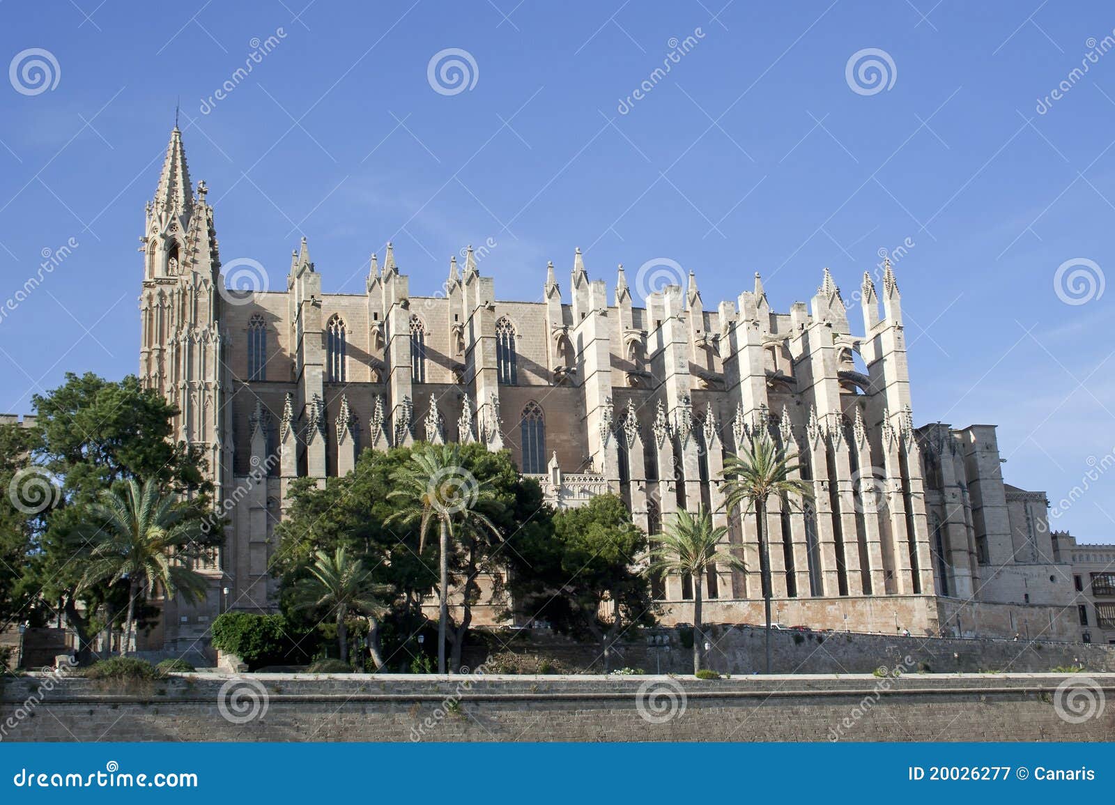 la seu cathedral, raw