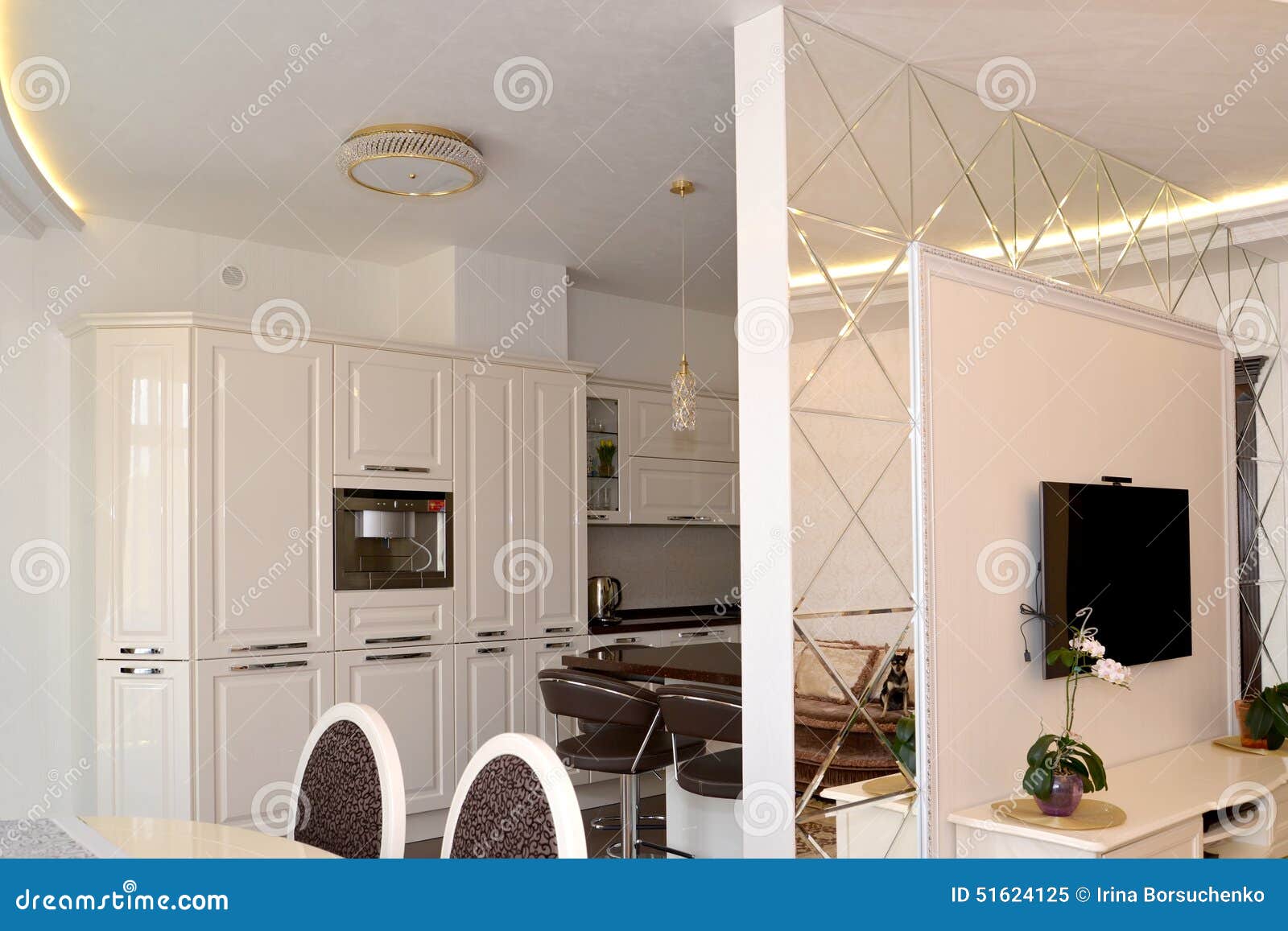 Séparation de mur de miroir d'interroom dans un salon classique ...