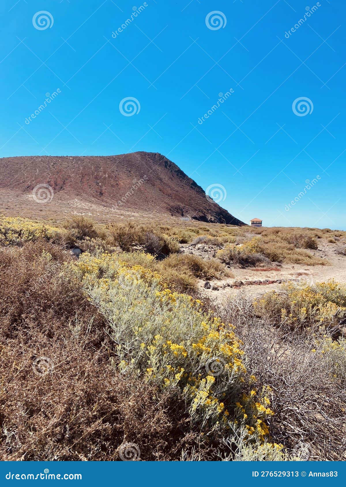 la tejita beach area in montaÃ±a roja natural reserve in tenerife, canary islands, spain