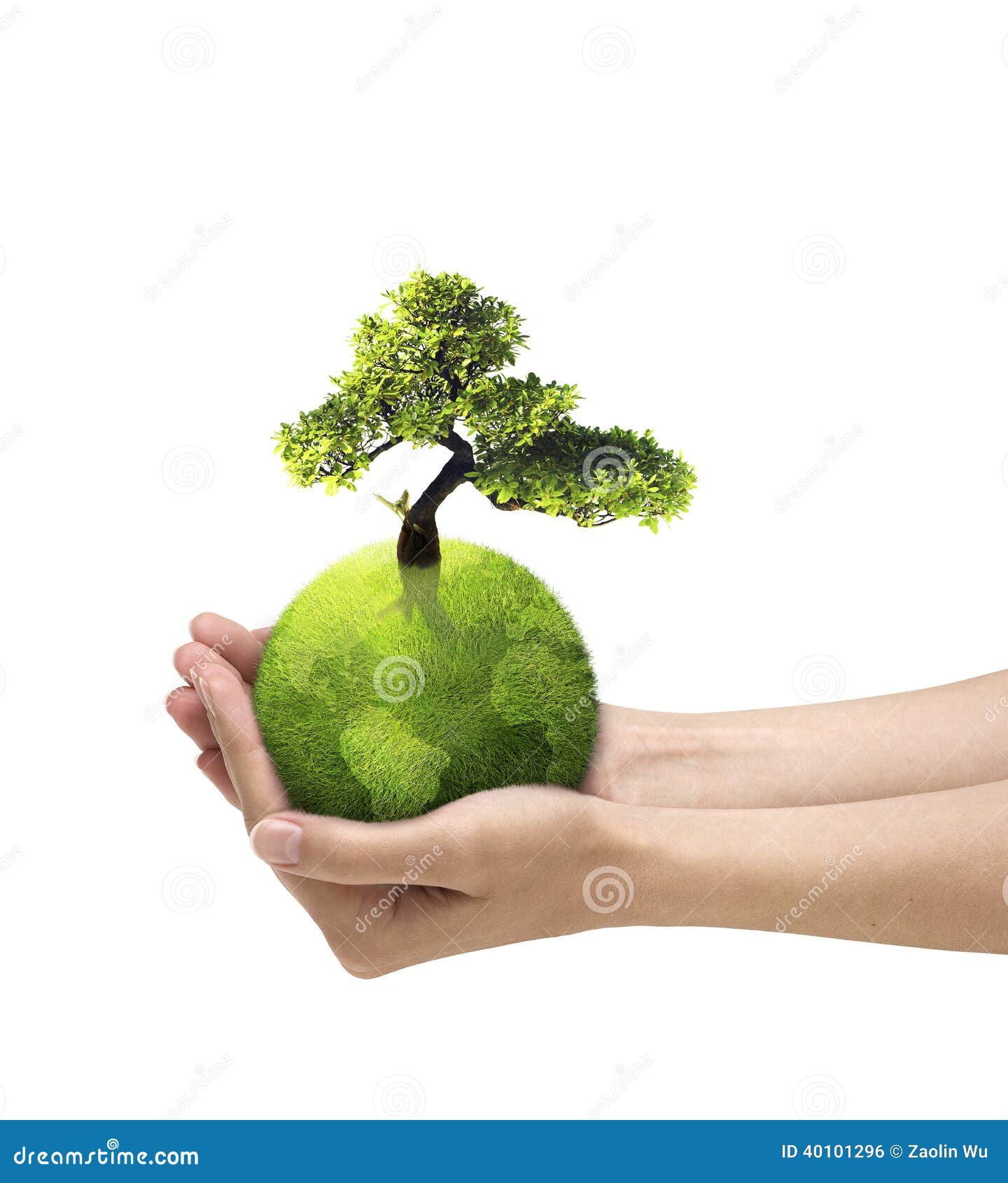 La terre et arbre dans des mains. La terre verte et arbre dans des mains.