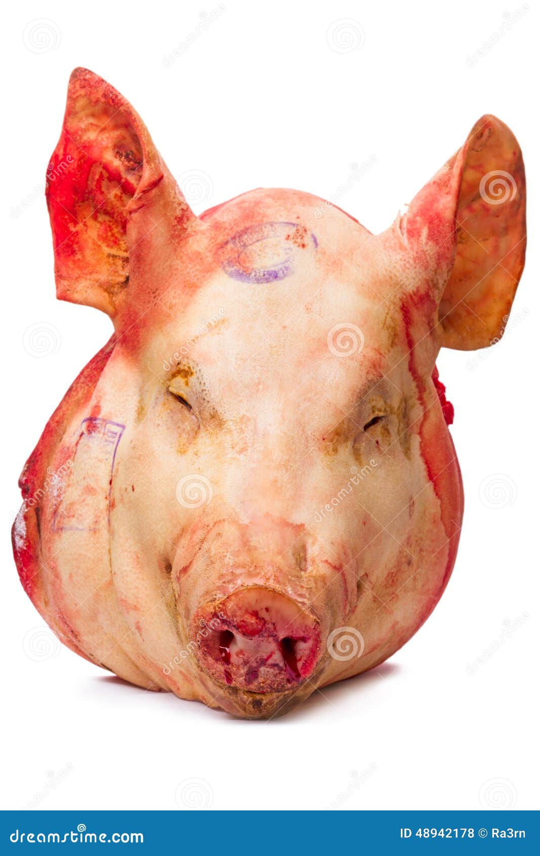 La Testa Del Maiale (prodotto CRUDO) Fotografia Stock Immagine di