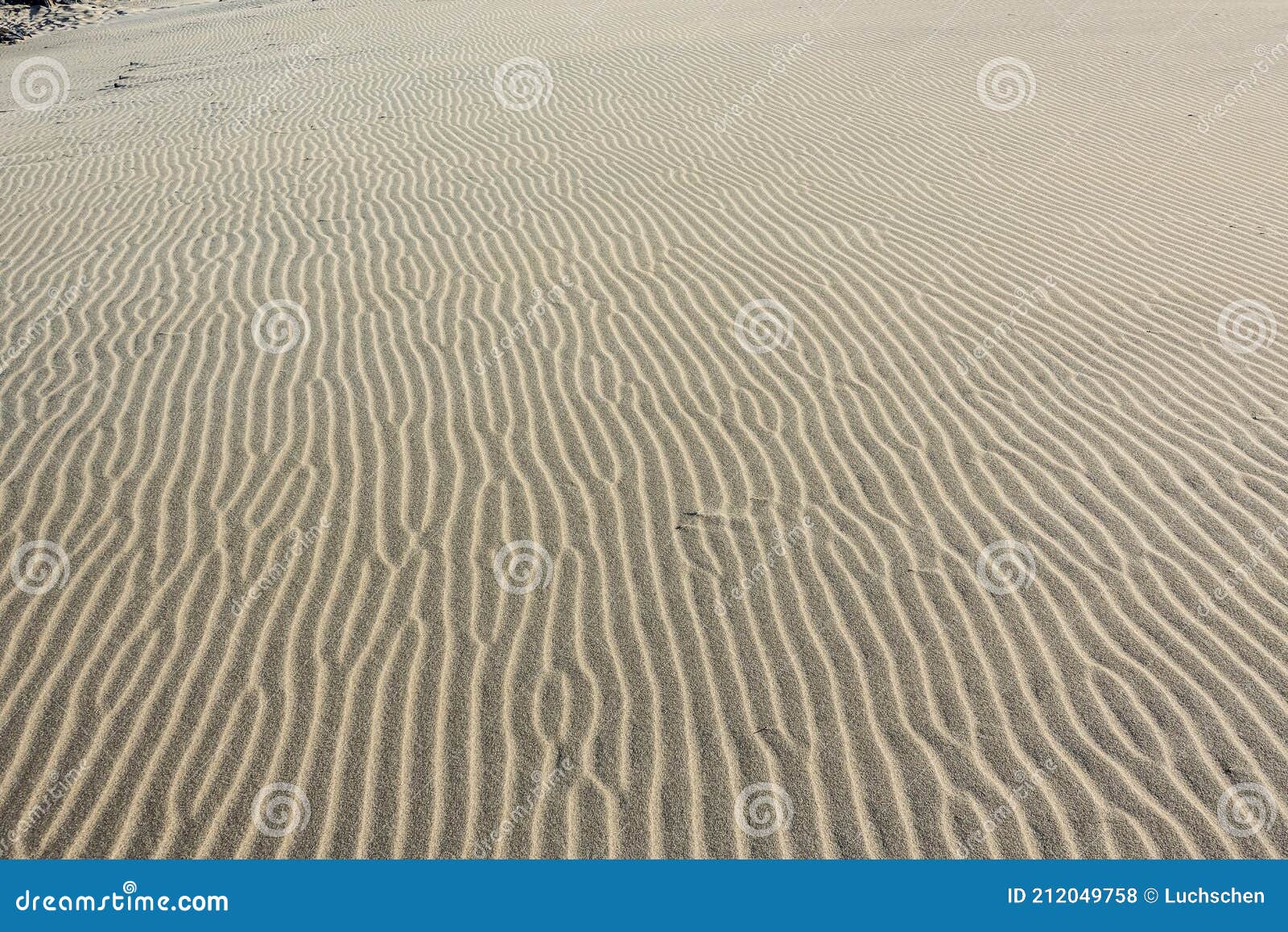 La Textura De La Arena En Una Duna En El Desierto Foto De Archivo