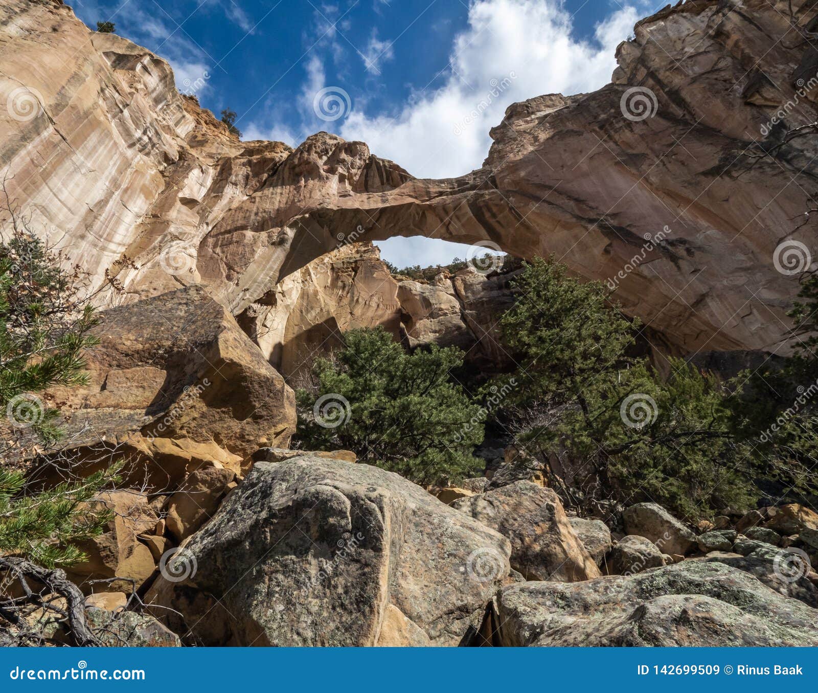 la ventana arch