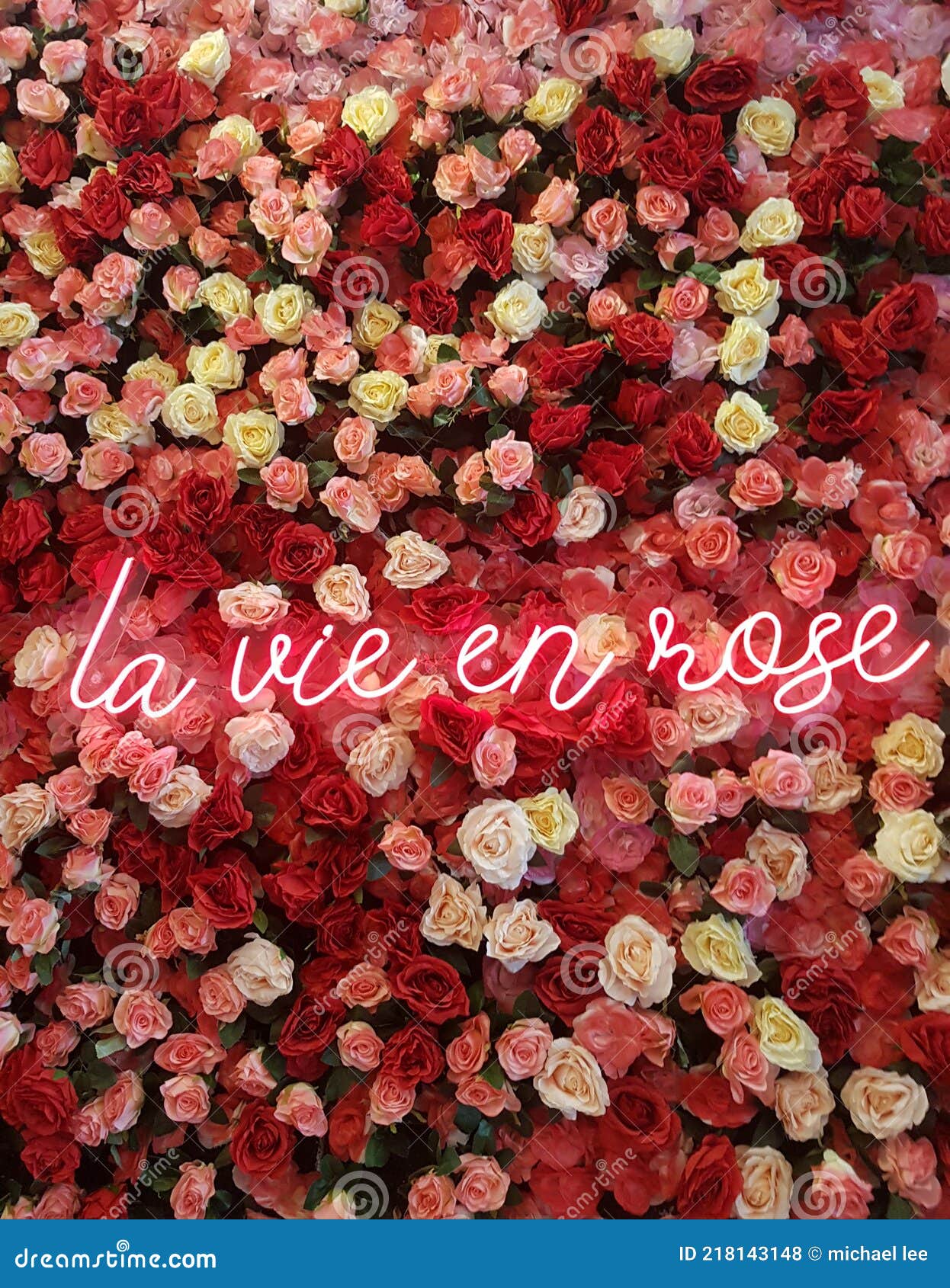 La Vie En Rose Photos Free Royalty Free Stock Photos From Dreamstime