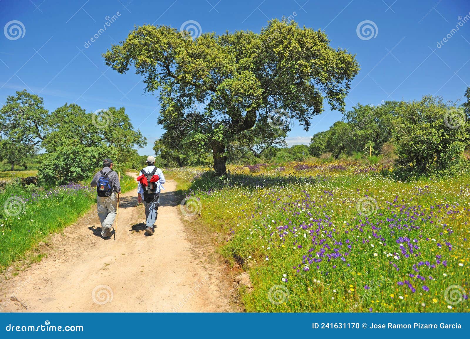 senderismo en el parque natural de cornalvo, extremadura, espaÃÂ±a