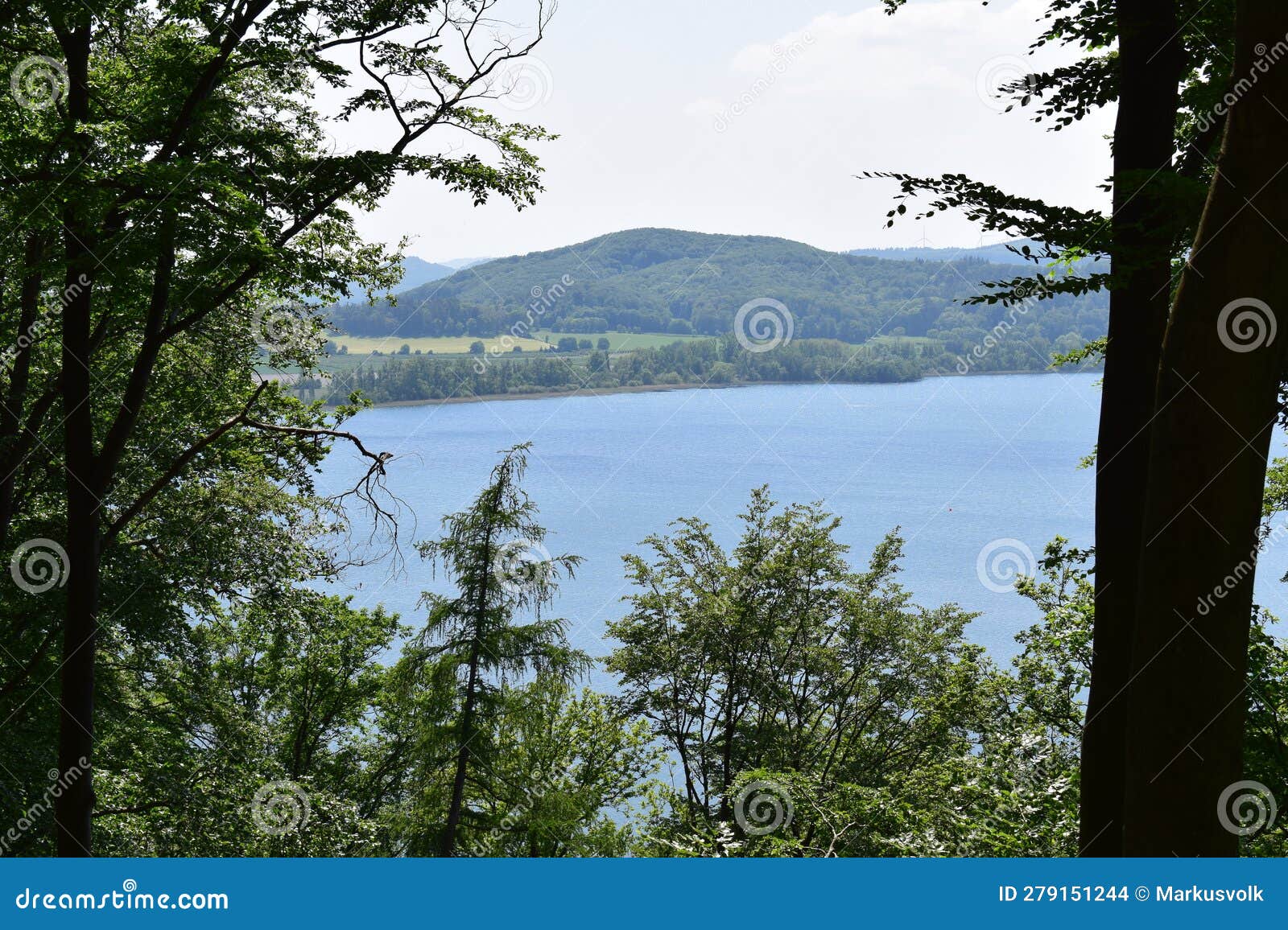 laacher see, forest shore with spring green trees