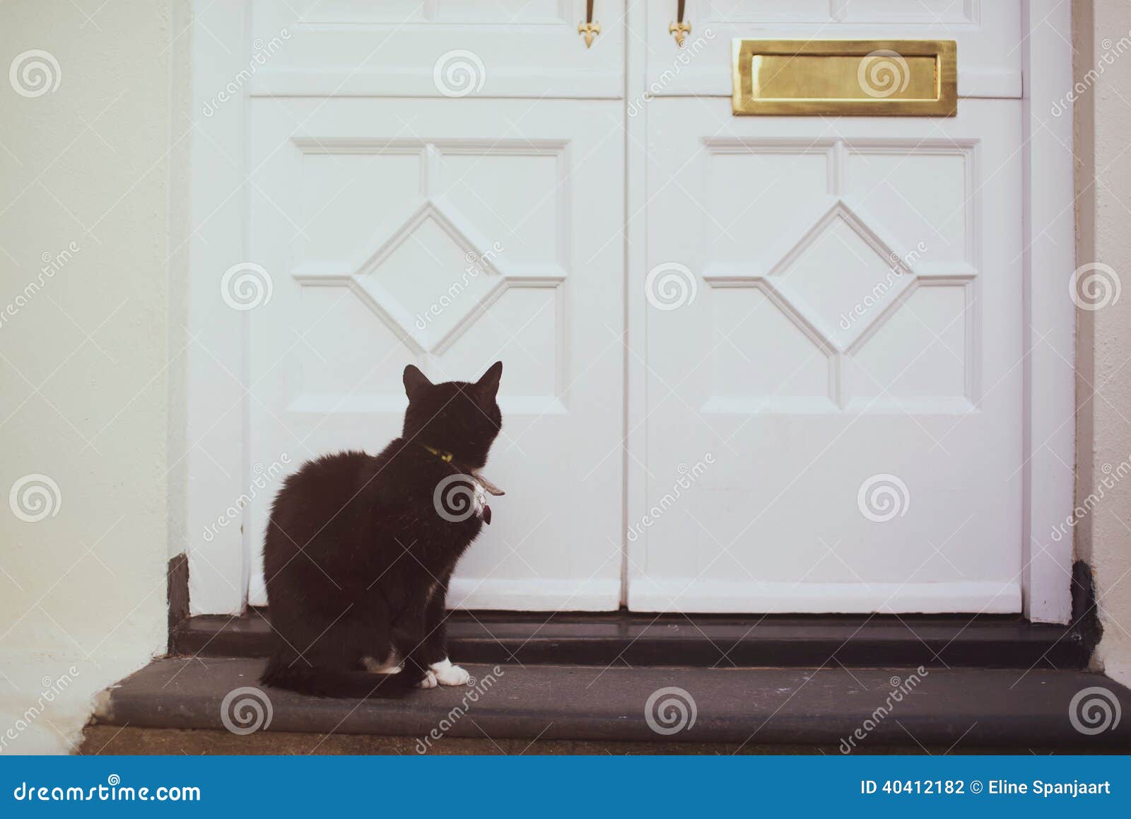 Laat binnen me. Kat die op zijn eigenaar wachten om hem binnen te laten