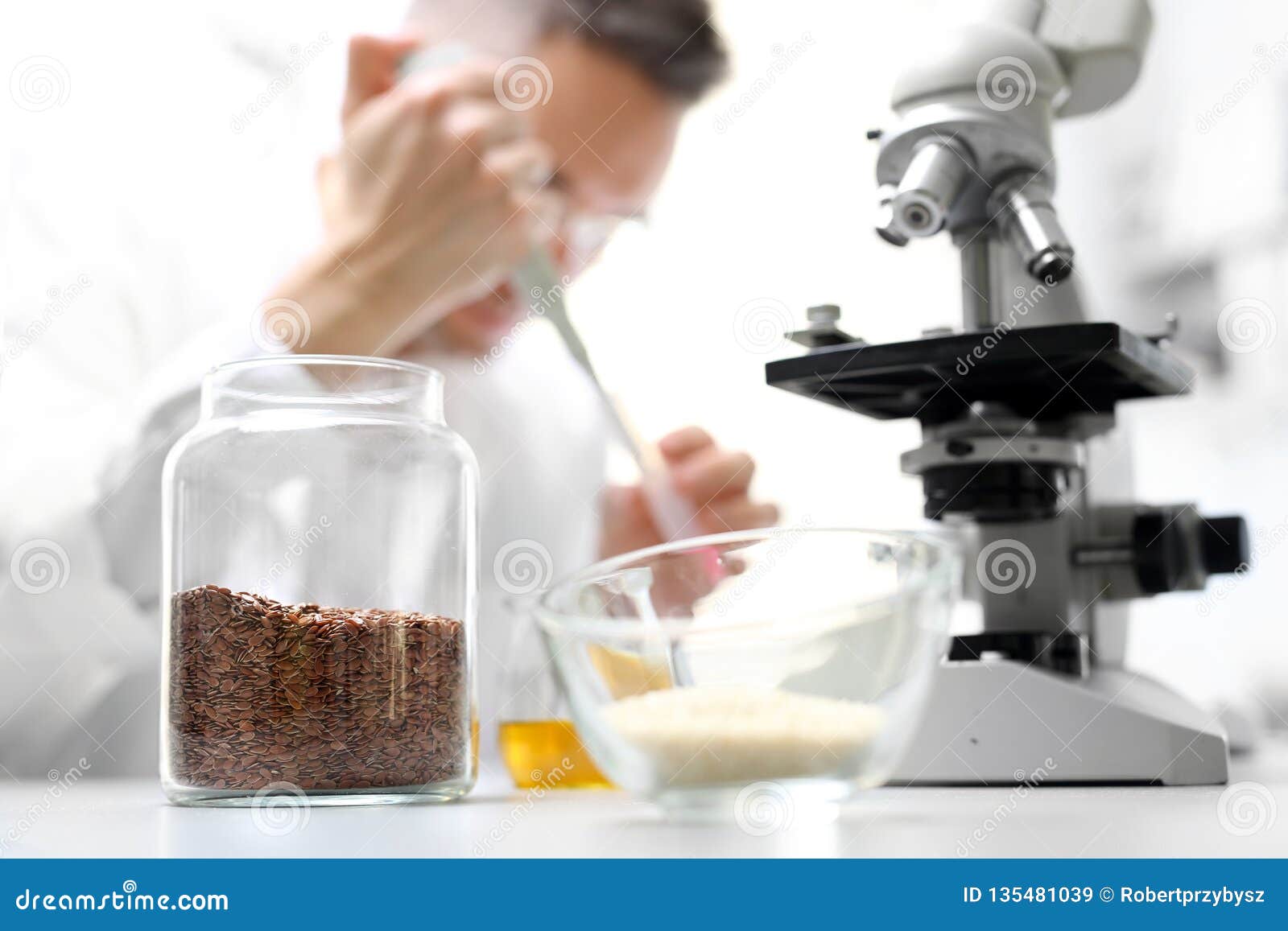 In Vitro Plant Plant Laboratory. Stock Image Image of