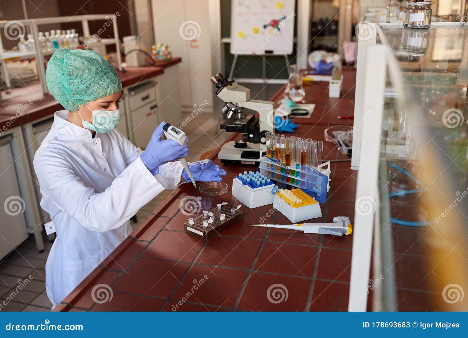 Lab Technician Examining Blood Sample Stock Image Image of