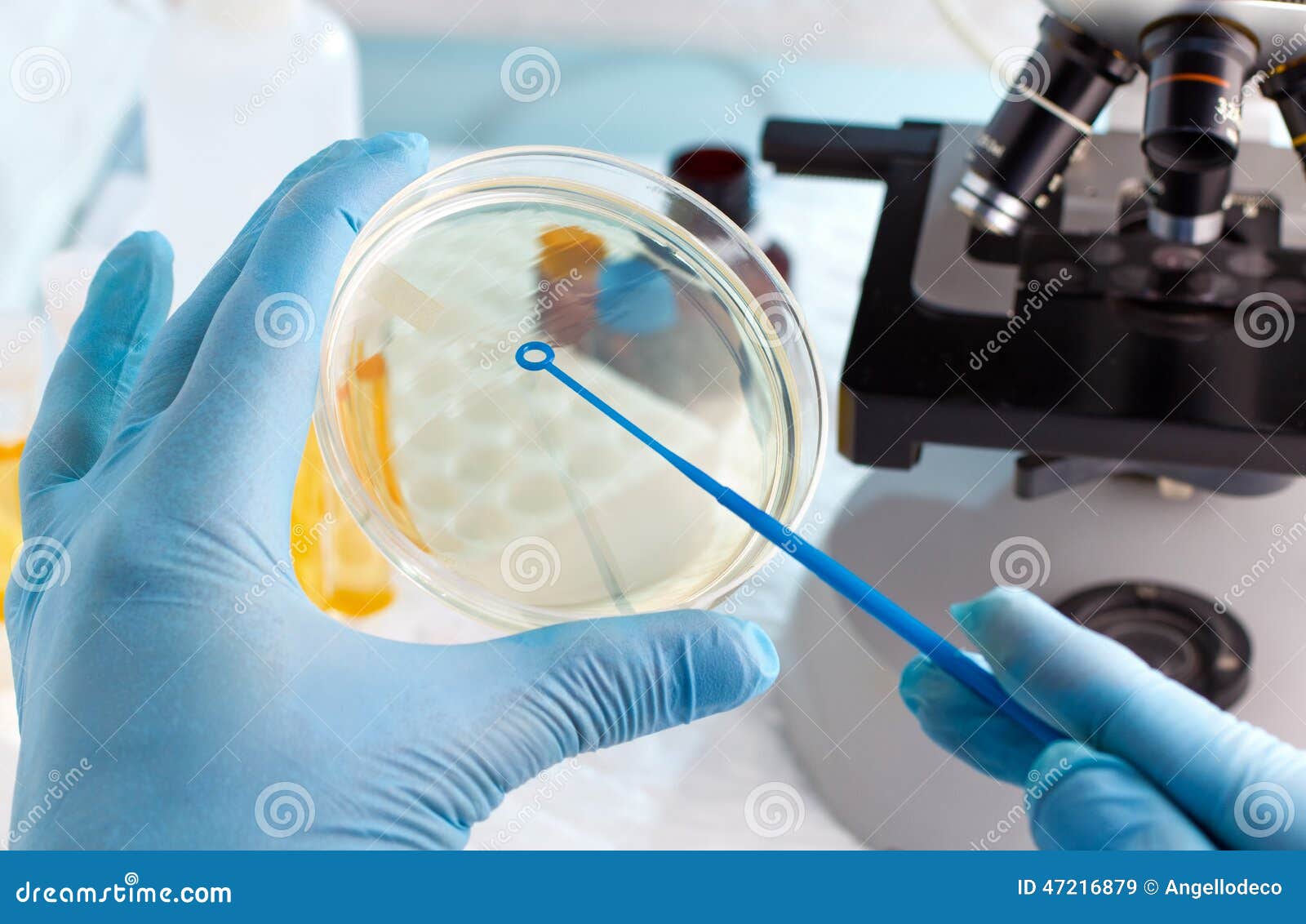 lab technician hand planting a petri dish