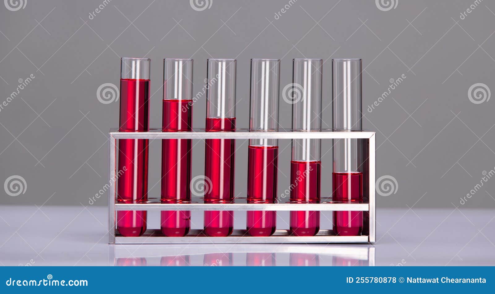 Lab Tubes Growth Concept. Several Glass Tubes on Rack with Increasing