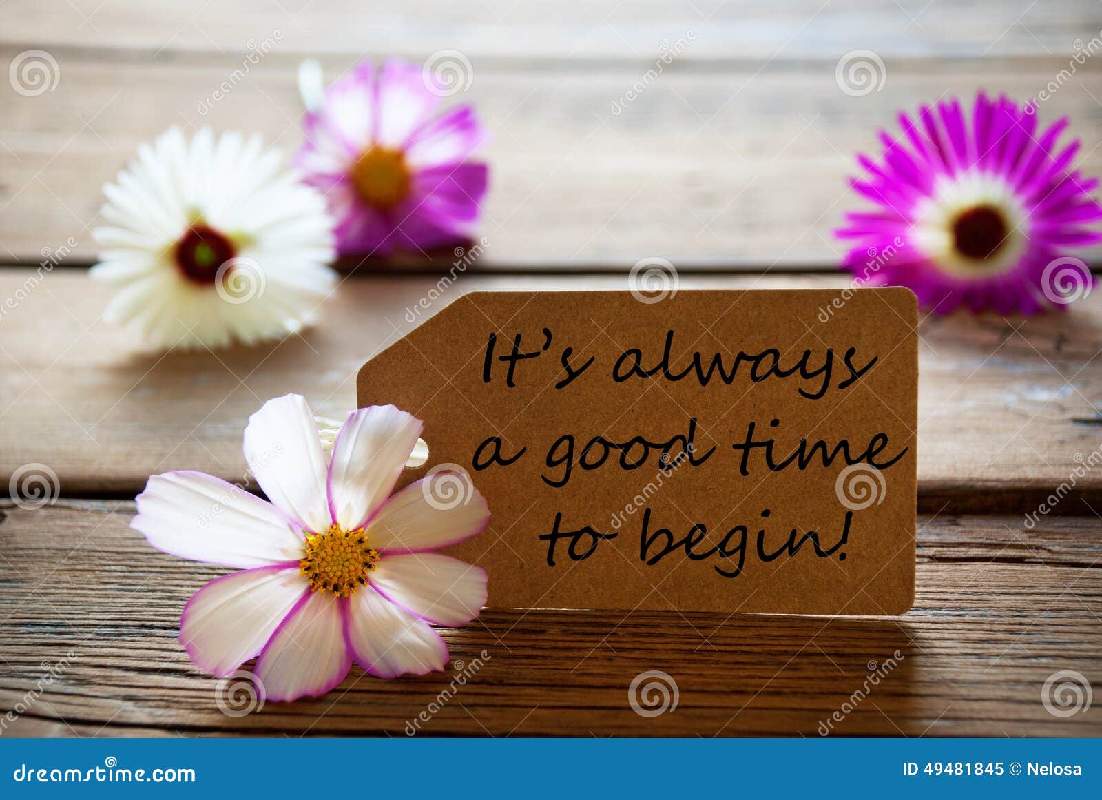 label with life quote its always a good time to begin with cosmea blossoms