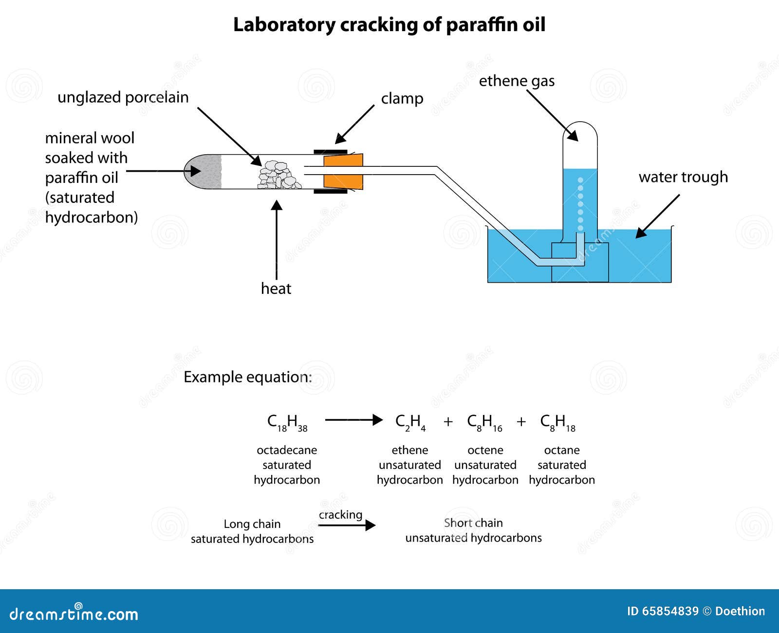 download cytokines