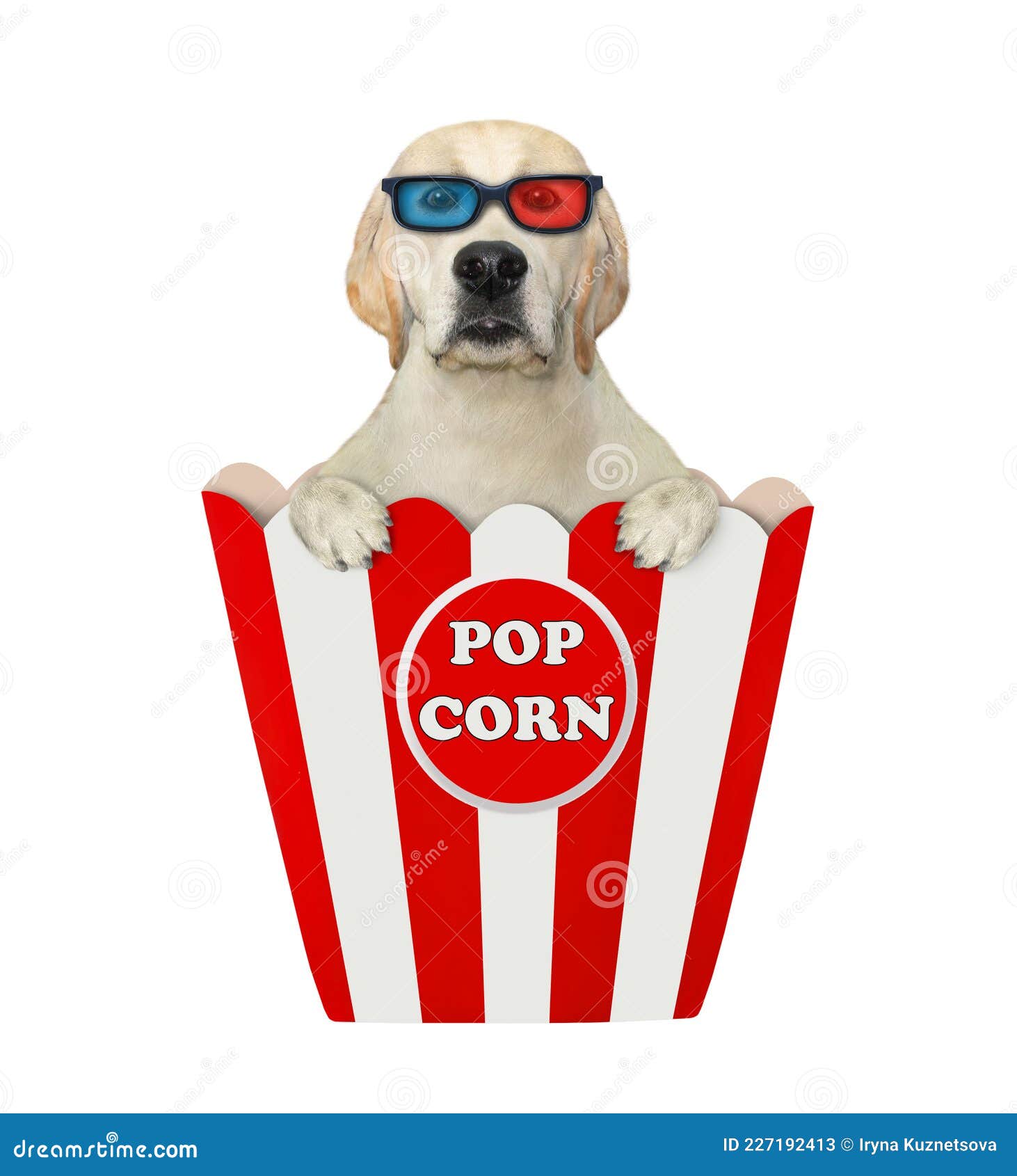 Laboratorio Di Cani in Bicchieri 3d Dentro Una Scatola Di Popcorn  Illustrazione di Stock - Illustrazione di interno, cane: 227192413