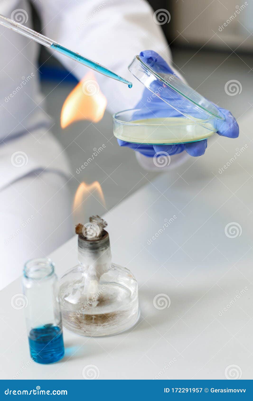 Laboratory Assistant Analyzes Bacterium Sample Using Medical Equipment