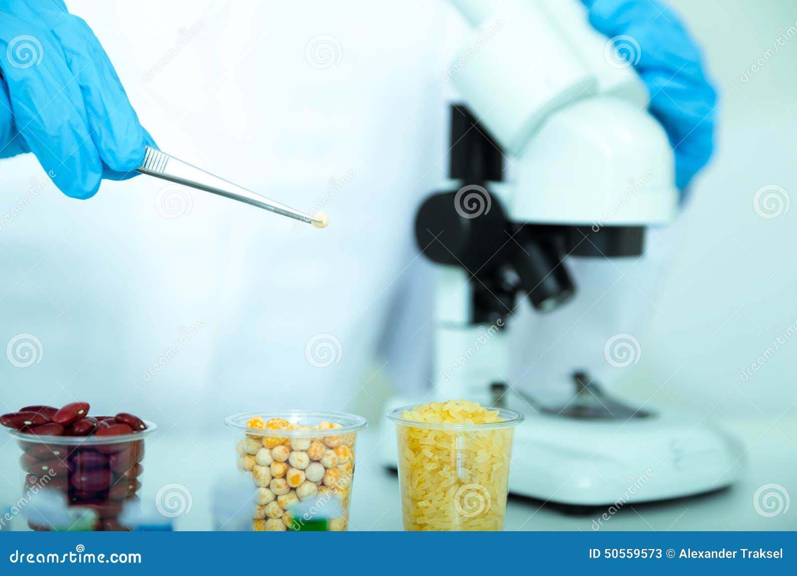 Laboratory Assistant in the Laboratory of Food Quality Stock Image
